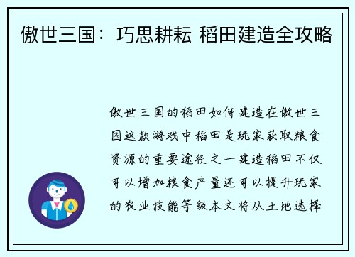 傲世三国：巧思耕耘 稻田建造全攻略