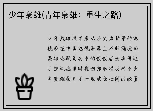 少年枭雄(青年枭雄：重生之路)